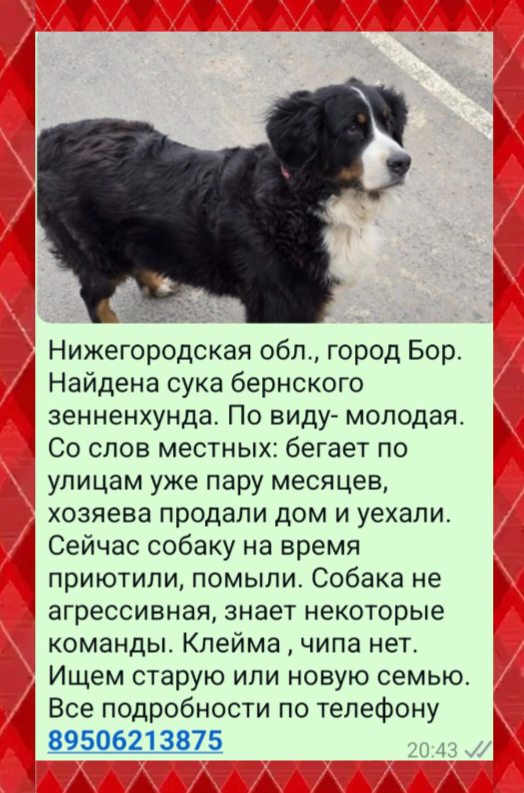 image-83.png