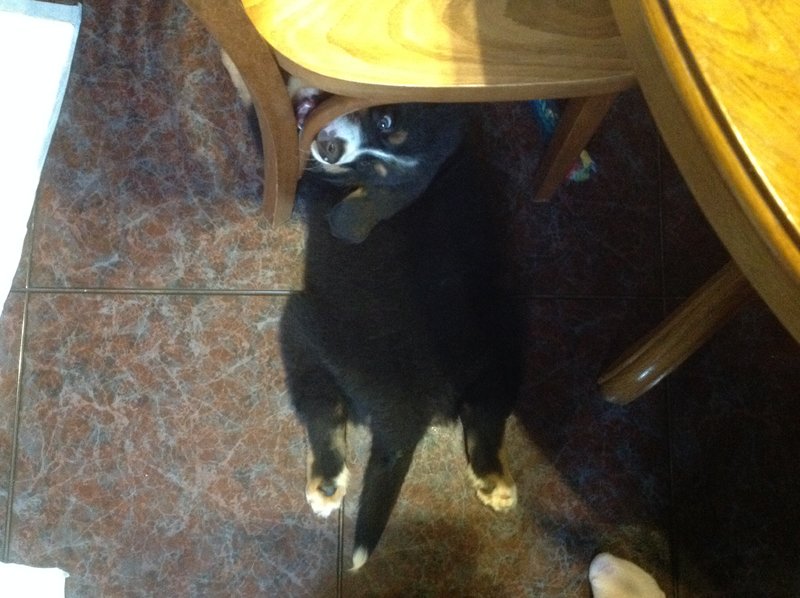 image.jpeg