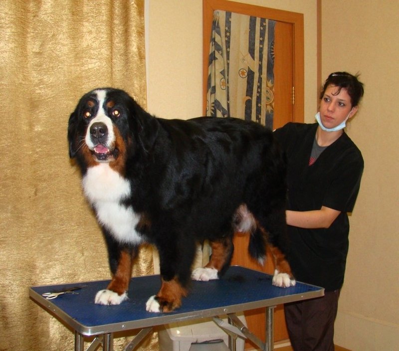 image.jpeg
