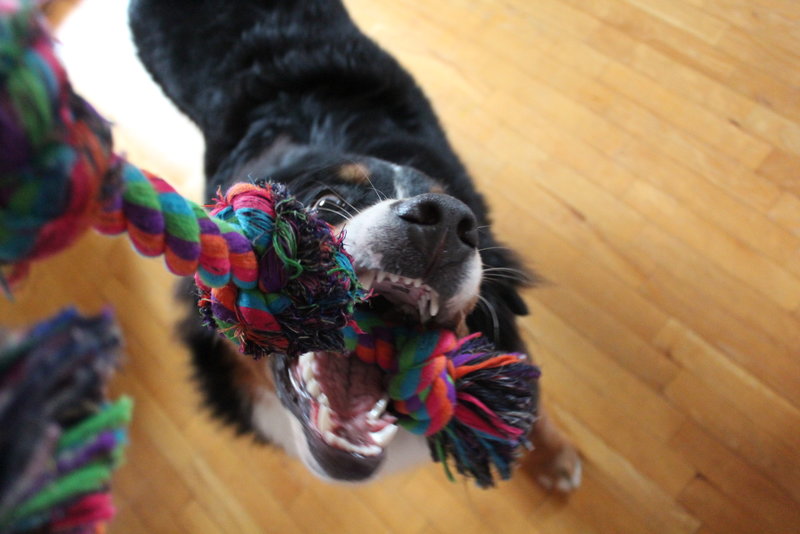 image.jpeg