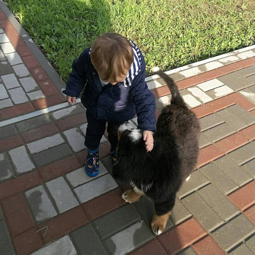 image.jpg