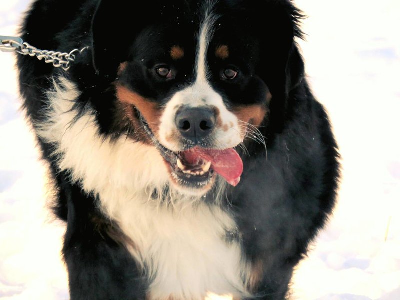IMG-036ade30ed67b4e403e19f4f7cc23528-V.jpg
