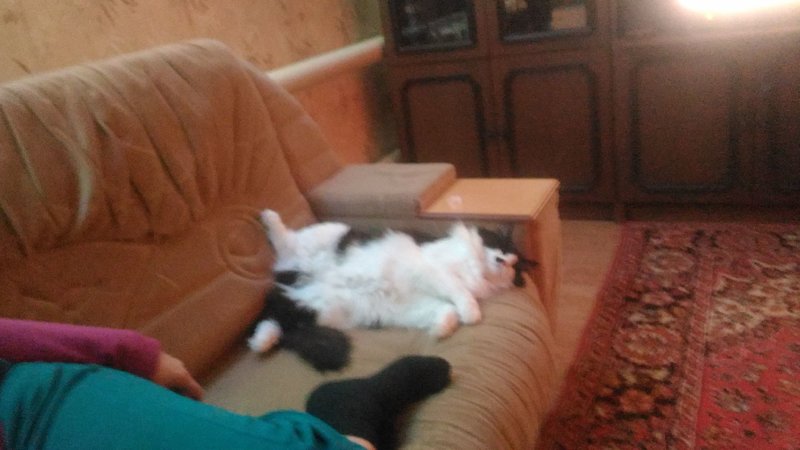 IMG-20180105-WA0006.jpeg