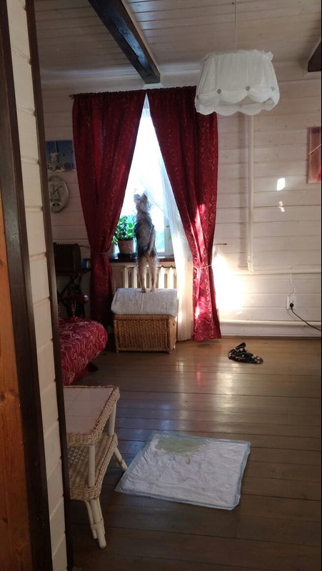 IMG-20180307-WA0002.jpg