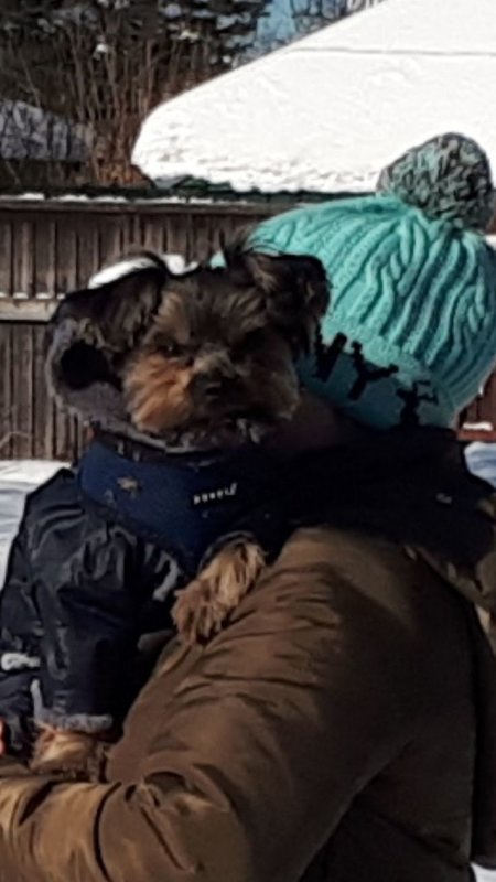 IMG-20180308-WA0010.jpg