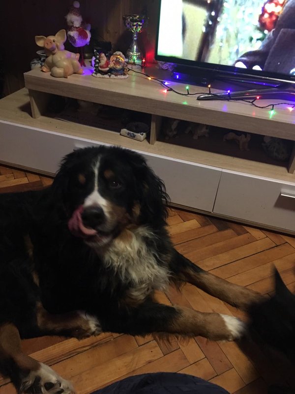IMG-20190113-WA0006.jpg