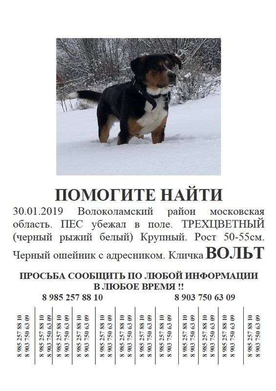 IMG-20190203-WA0002.jpg