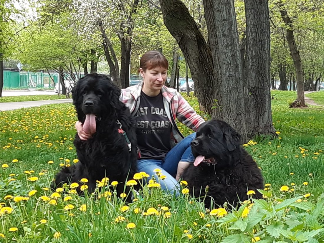 IMG-20190509-WA0024.jpg