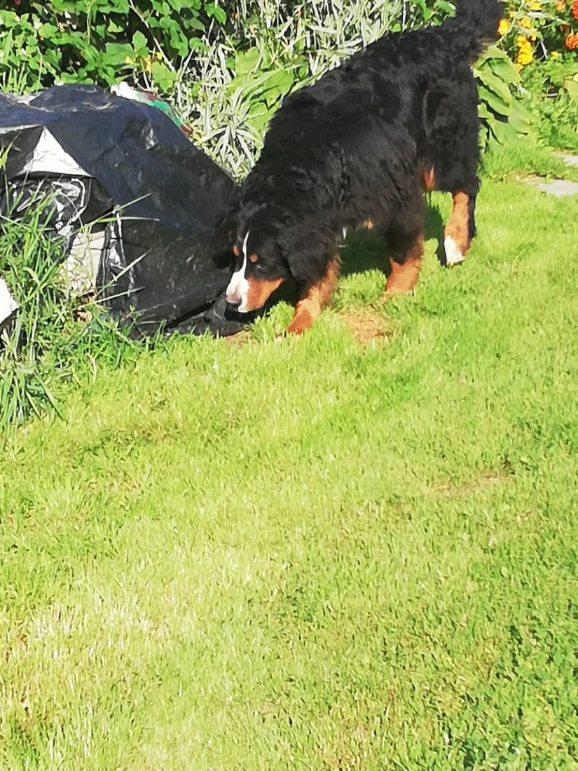 IMG-20190807-WA0003.jpg