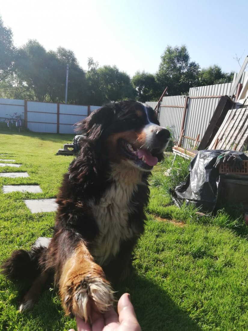 IMG-20190807-WA0007.jpg