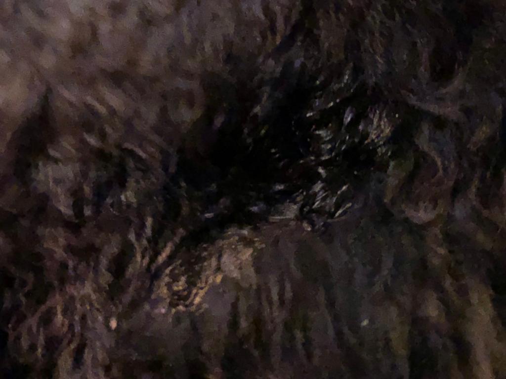 IMG-20190908-WA0023.jpg