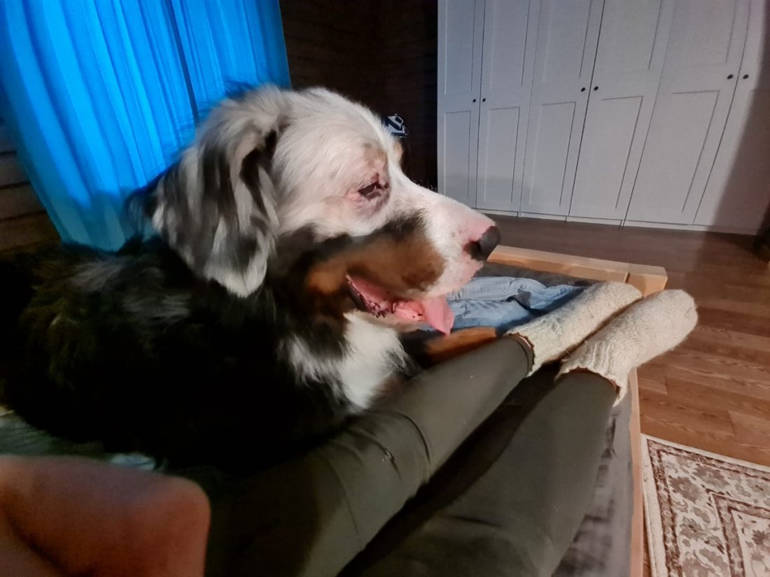 IMG-20201222-WA0004.jpg