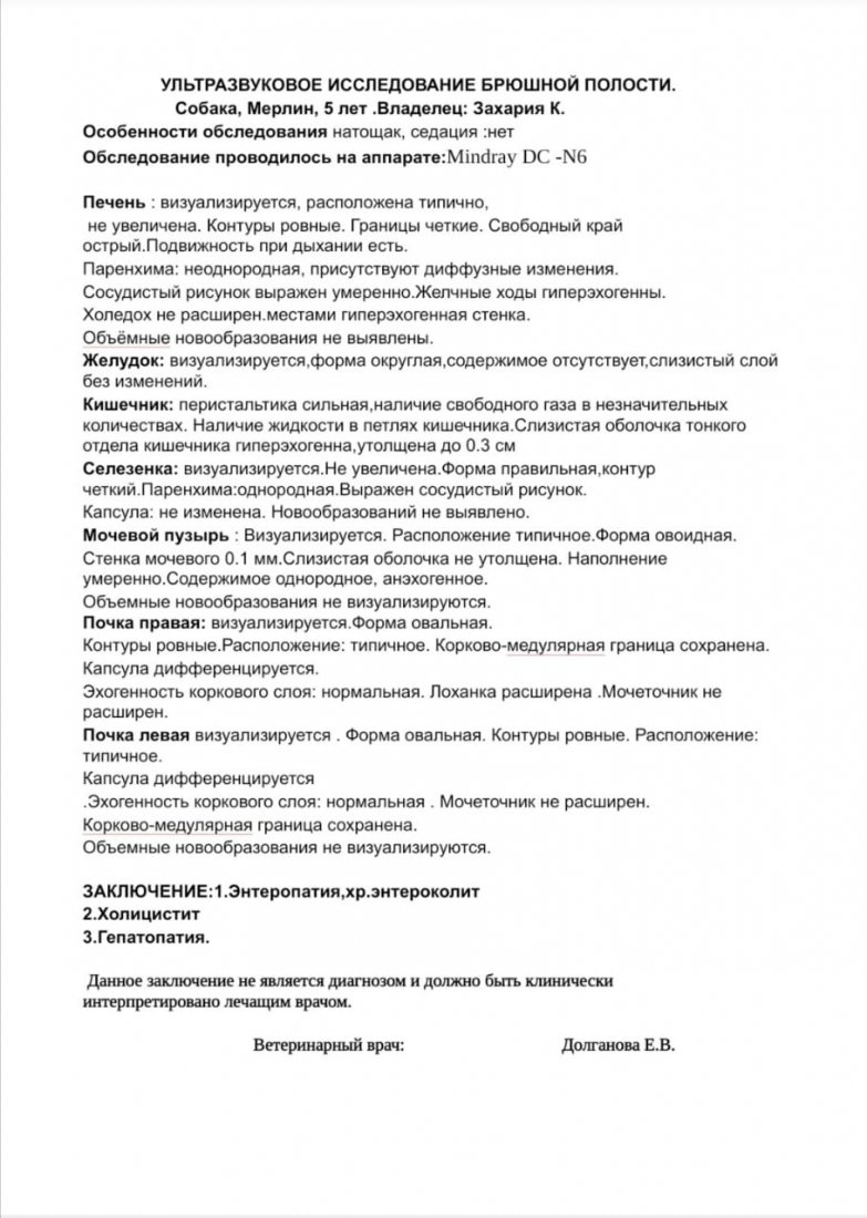 IMG-20201224-WA0037.jpg