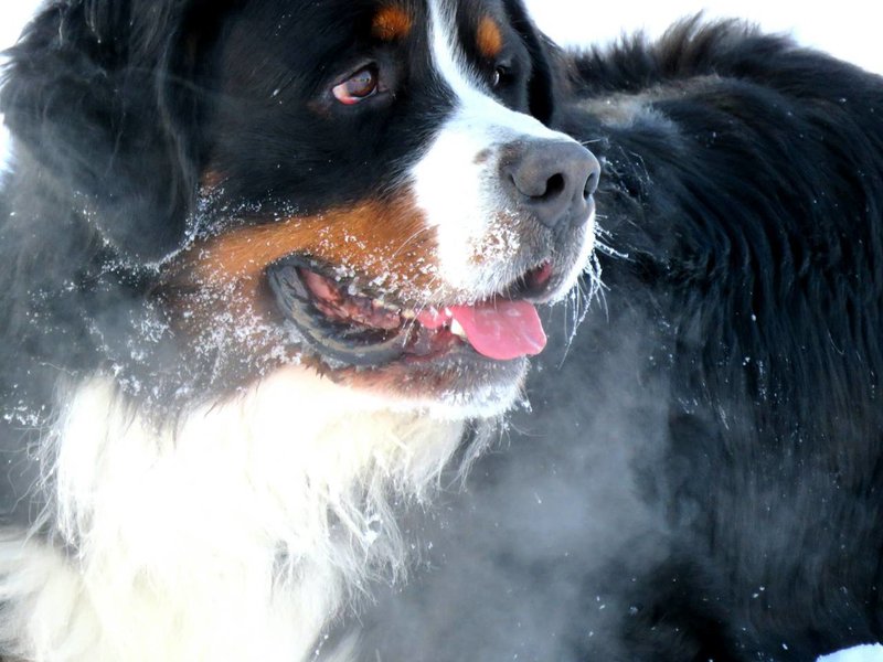 IMG-2d9bb2c54bd5b060074c34ea17308c53-V.jpg