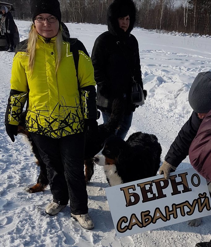 IMG-3109be1bf77781ff0bcb0a3a07f42949-V.jpg
