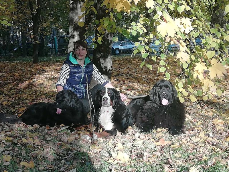 IMG-37cd012e25ca855c9b32afdf7c57c625-V.jpg