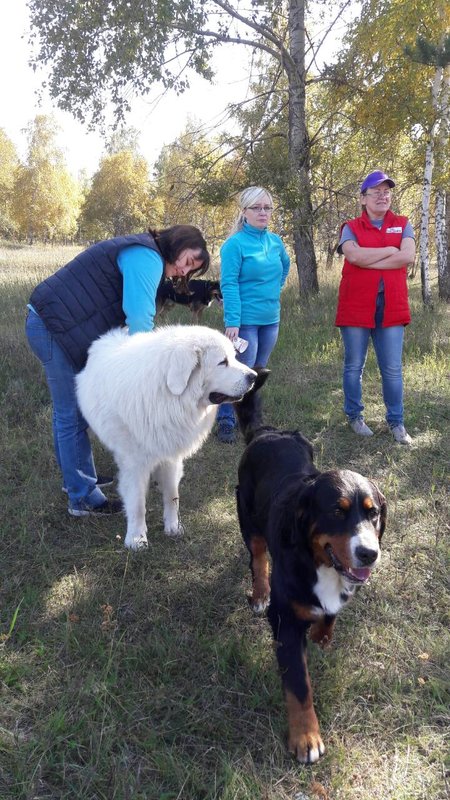 IMG-4c76b995540bda14bbd5c8dcff61d693-V.jpg