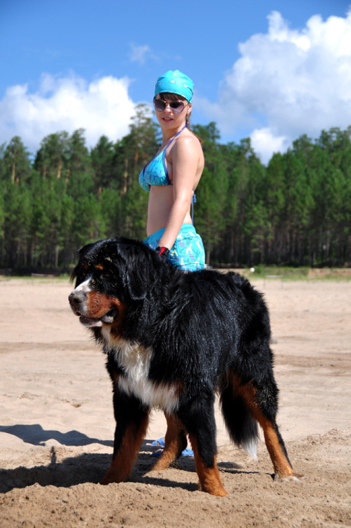 IMG-6f56bca827ffa138aecb5b8e3bea1638-V.jpg