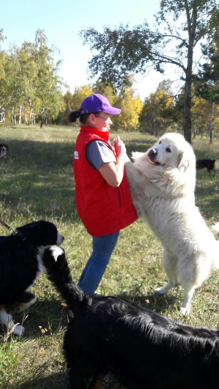 IMG-7d606fee7c449ca3c00bd79eca84a30b-V.jpg