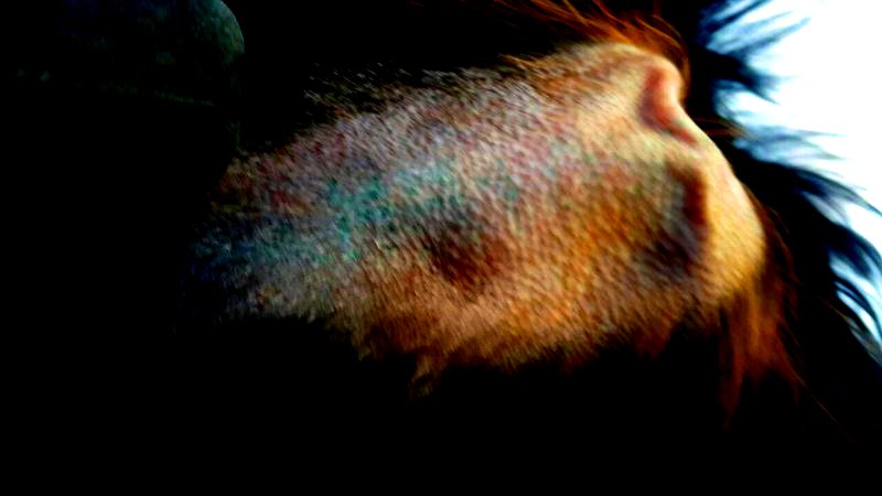 IMG-7e85bc0823e08ed53e9f19a8e042822c-V.jpg