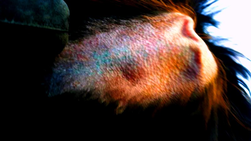 IMG-7e85bc0823e08ed53e9f19a8e042822c-V.jpg