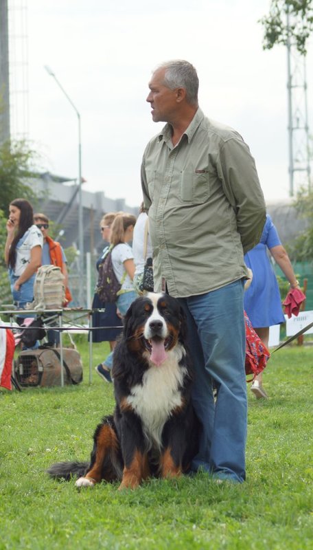 IMG-94c4323a56b76645ee1a29a21538c523-V.jpg