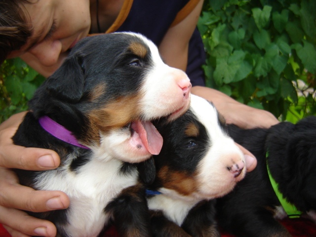IMG-b3b7c26b1f07da5f7a9fb6781797e337-V.jpg