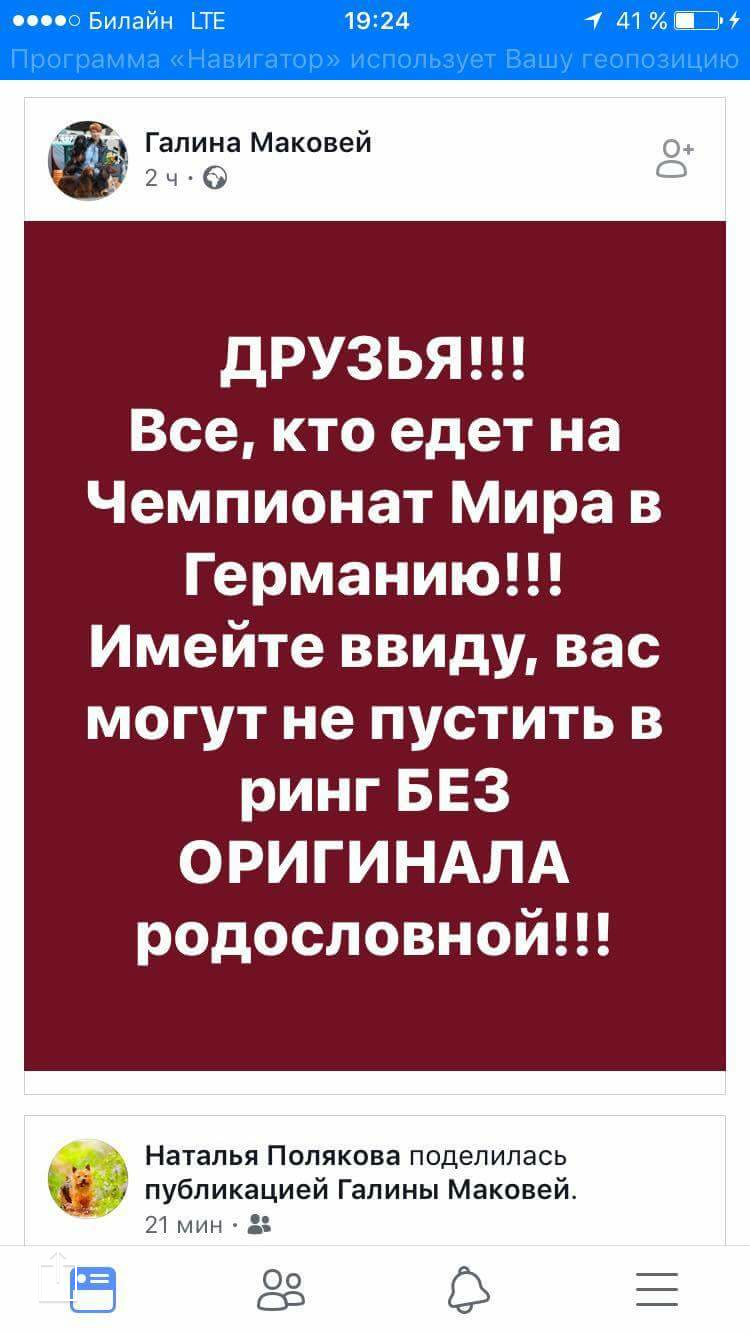IMG_0063.PNG