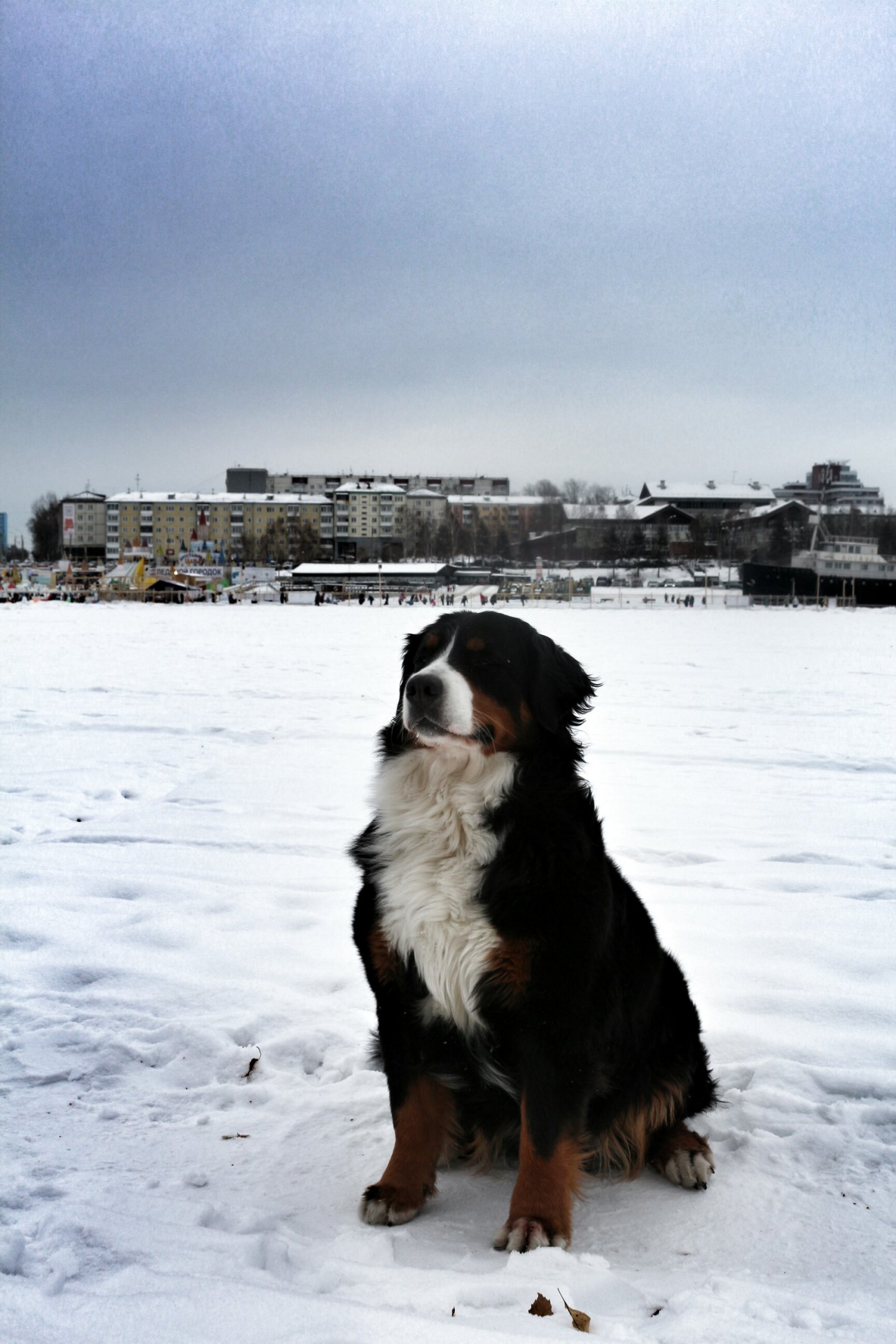 IMG_0404~2.jpg