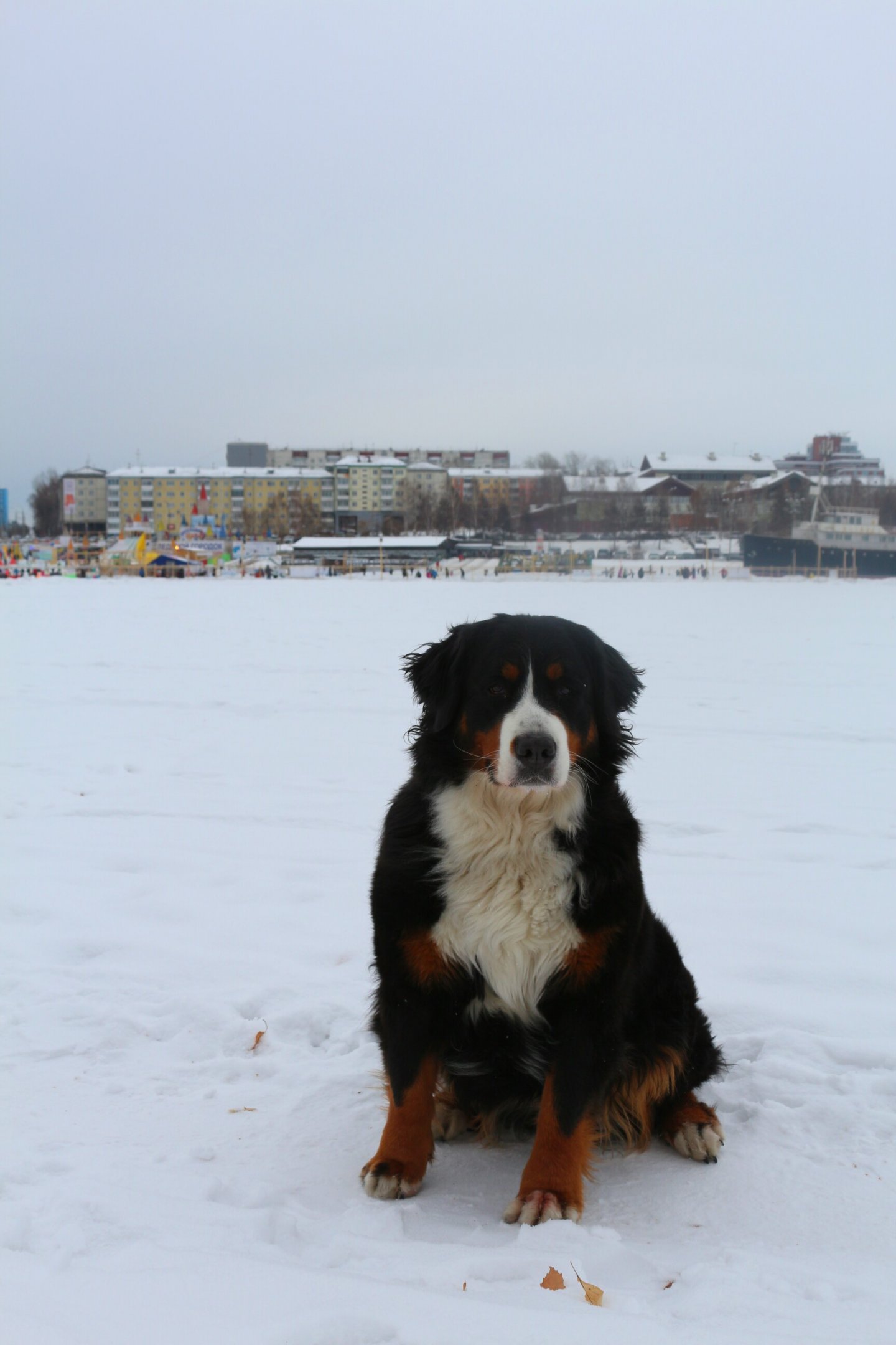 IMG_0405~2.jpg