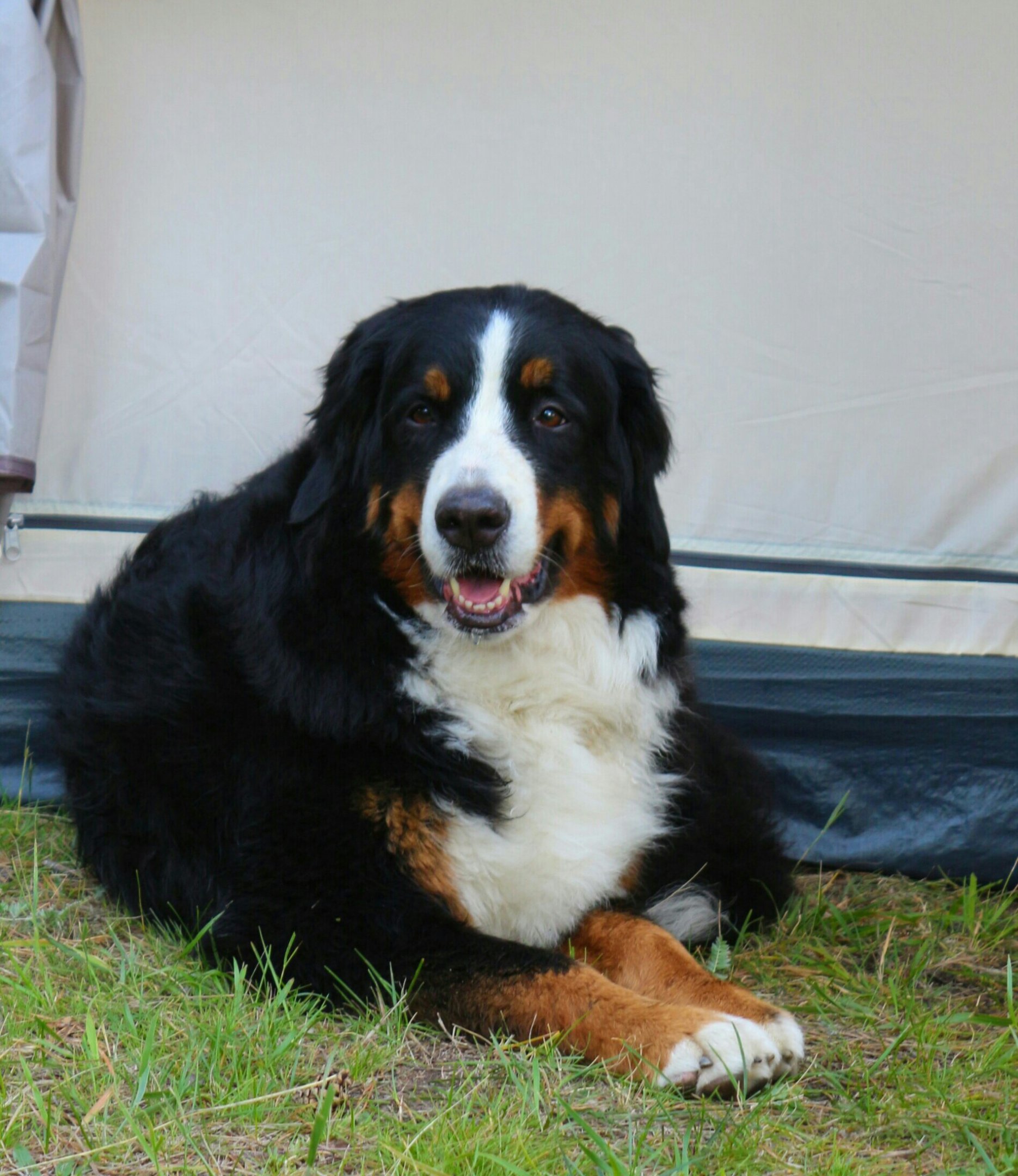 IMG_1030~2-1-1.jpg