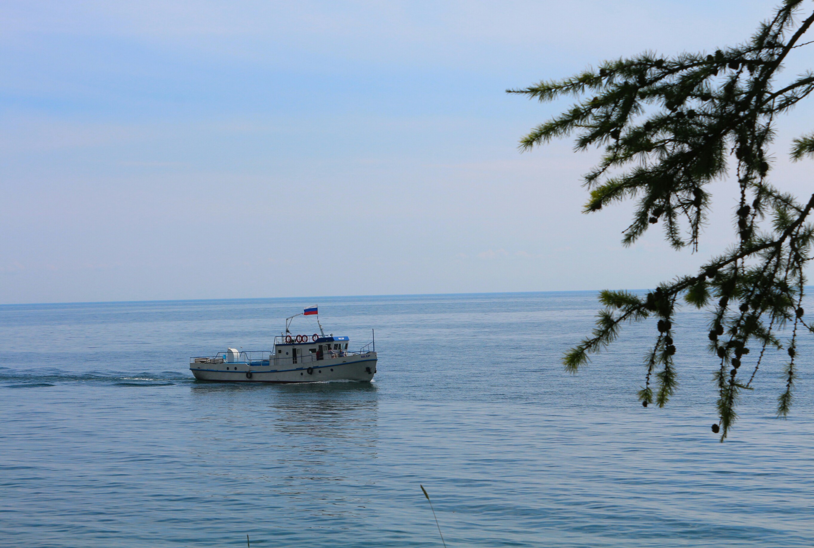 IMG_1170~2-1.jpg