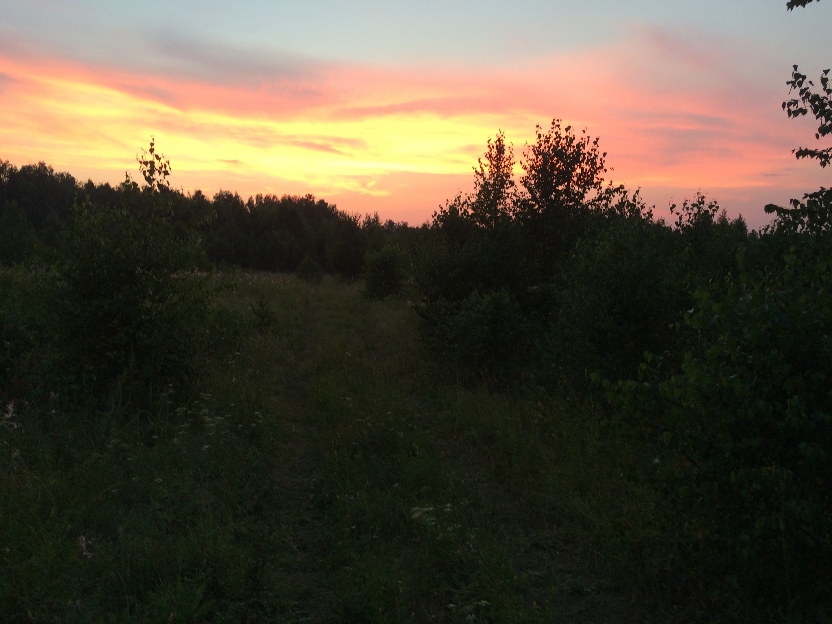 IMG_1190.JPG
