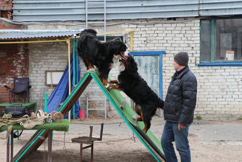 IMG_1338.JPG