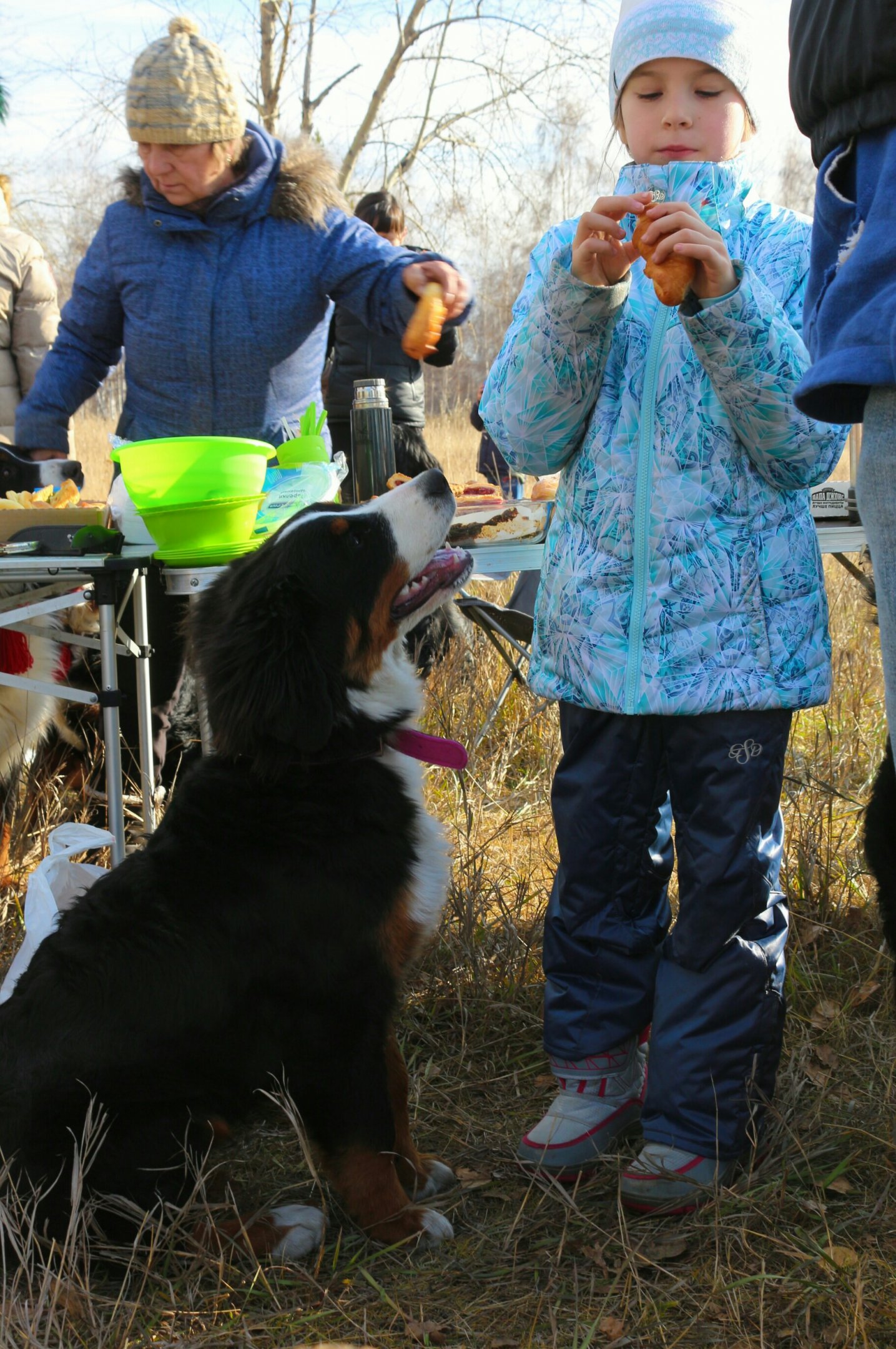 IMG_1356~2-1.jpg