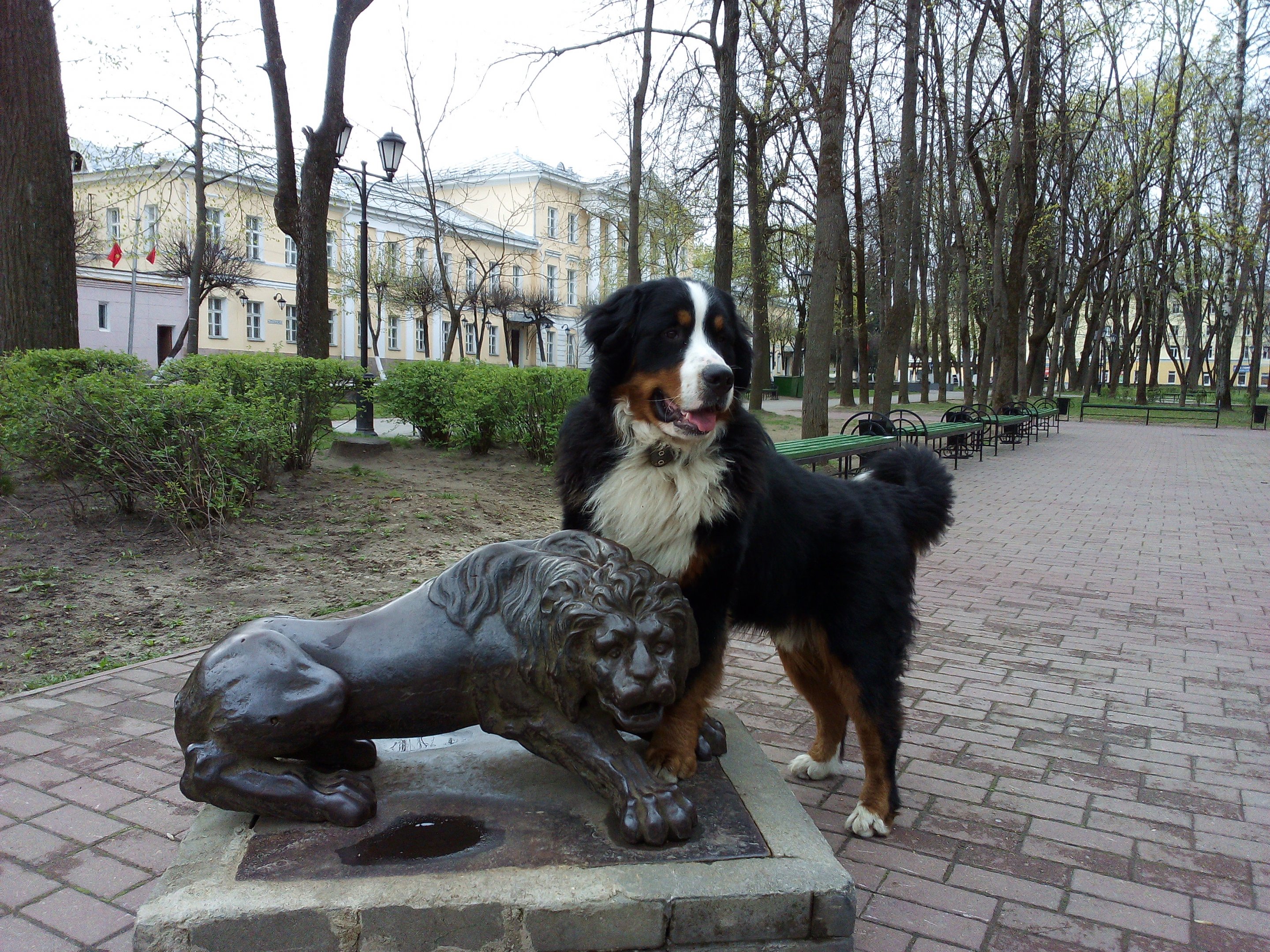 IMG_20150503_090537.jpg