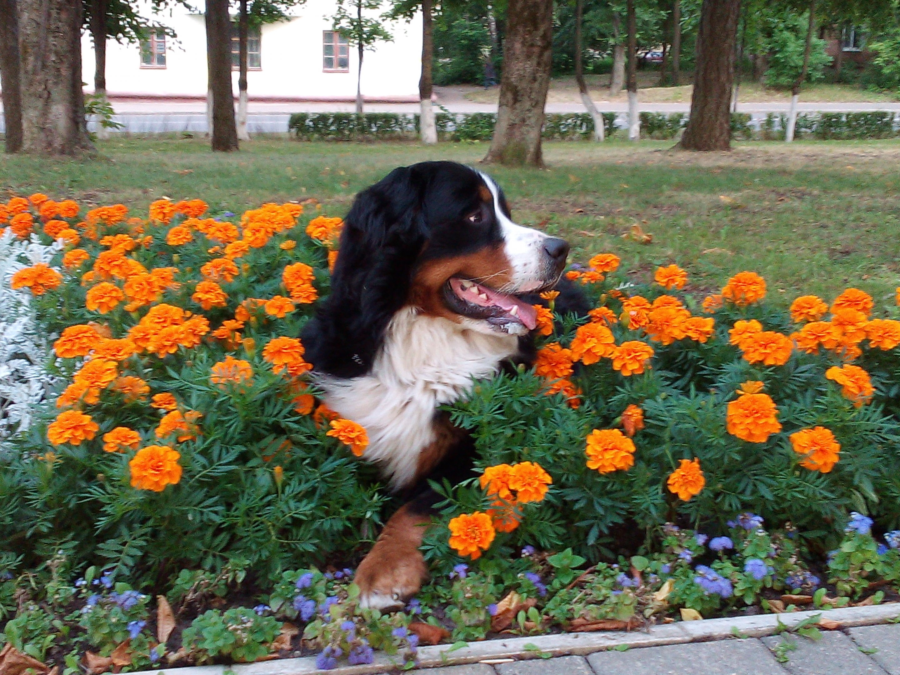 IMG_20150717_201323.jpg
