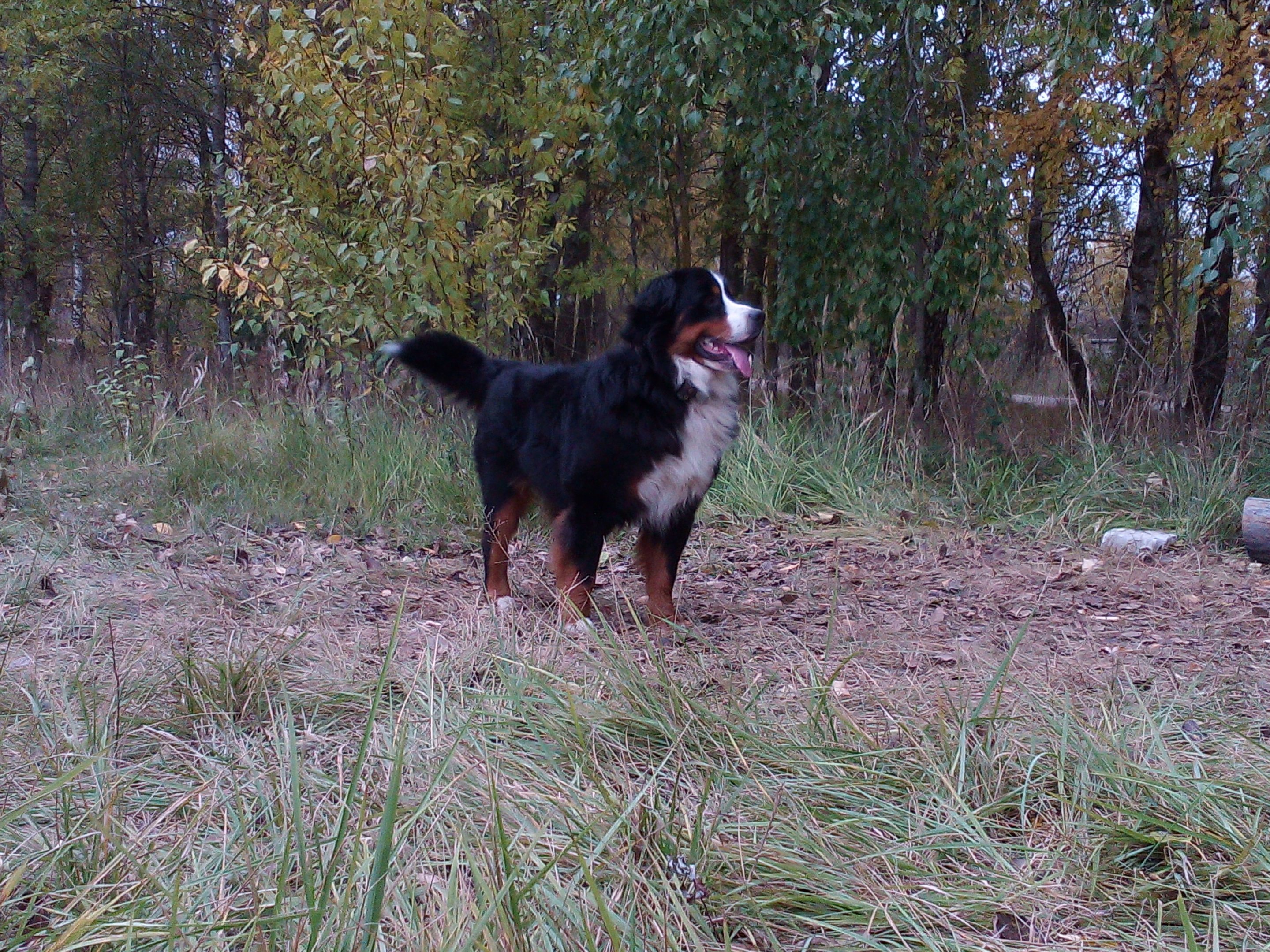 IMG_20151014_090148.jpg