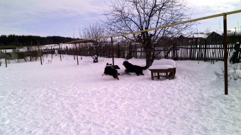 IMG_20170208_121024.jpg