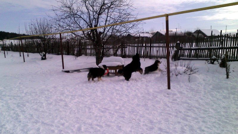 IMG_20170208_121028.jpg