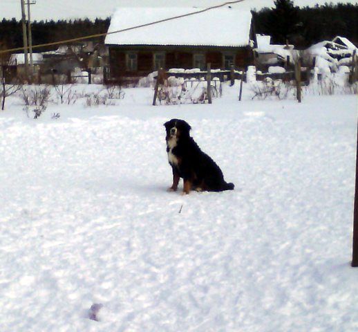 IMG_20170208_125533.jpg