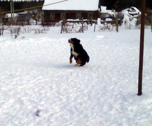 IMG_20170208_125535.jpg