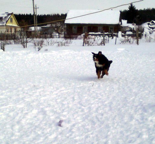 IMG_20170208_125535_1.jpg