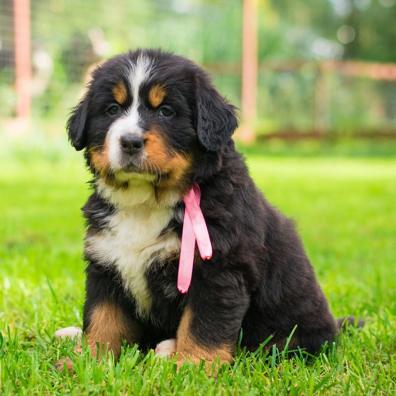 IMG_20180905_233410.jpg