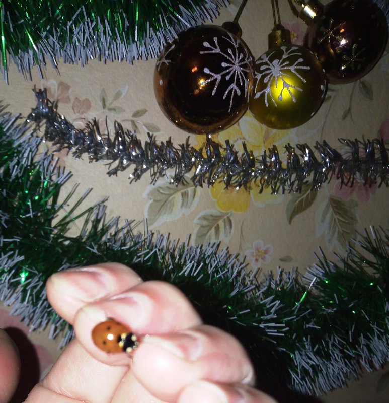 IMG_20181230_173827.jpg