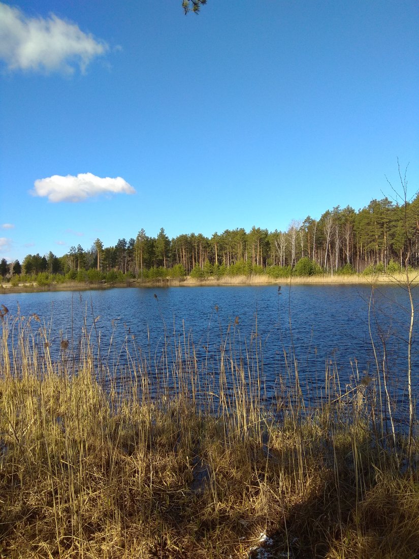 IMG_20200425_091201.jpg
