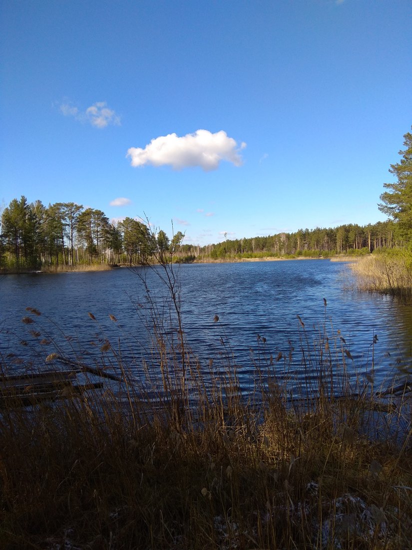 IMG_20200425_091415.jpg