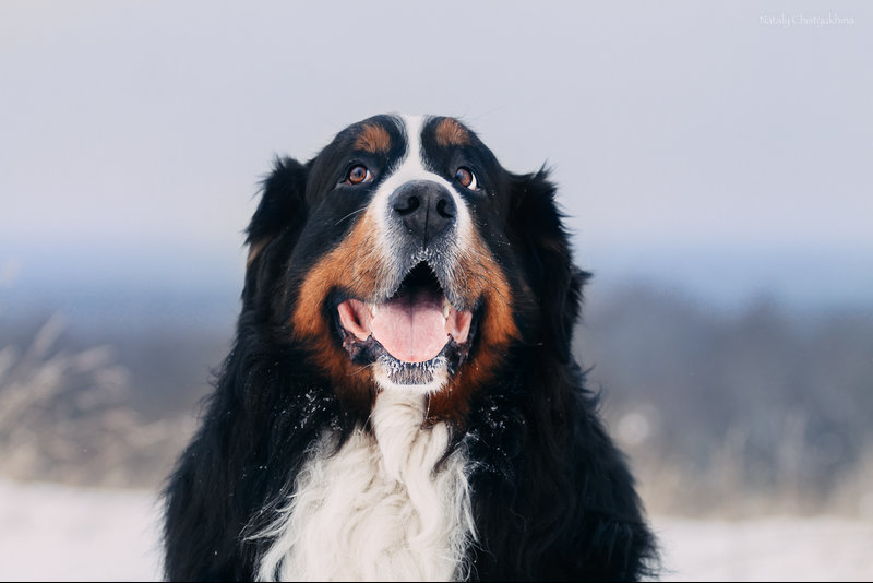 IMG_2715-Edit.jpg