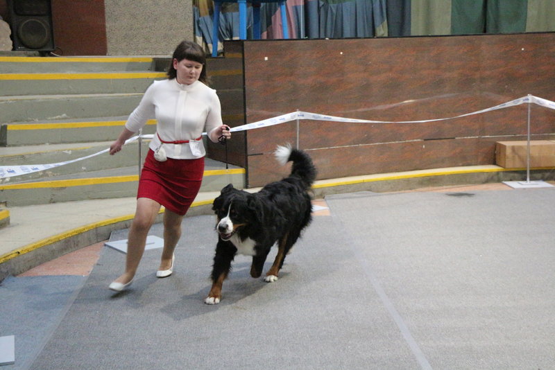 IMG_4542.JPG