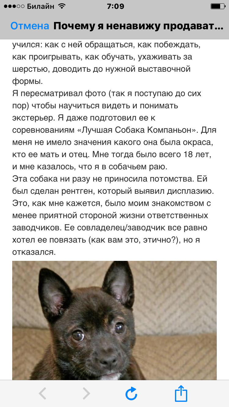 IMG_9157.PNG